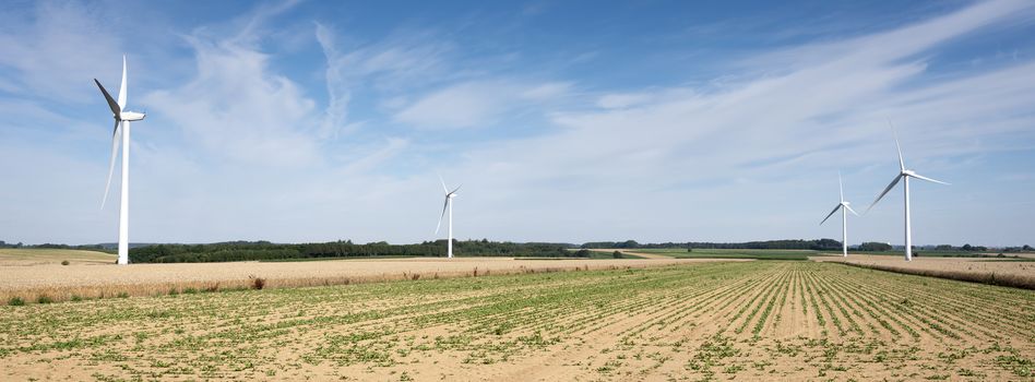 fields and wind turbine in french part nord pas de calais under blue sky in summer