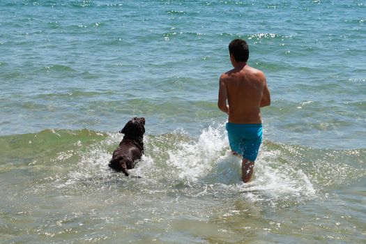 a man with his dog goes to the sea, rear view