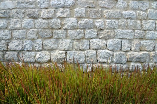 decorative curb grass on the background of an old white stone wall, copy space