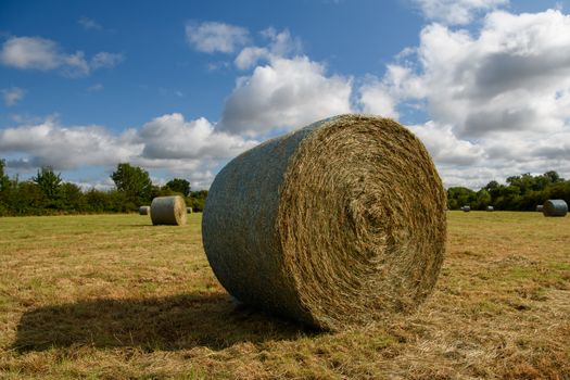 Freshly cut Hay bail in a meadow in England