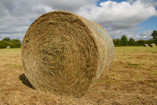 Freshly cut Hay bail in a meadow in England