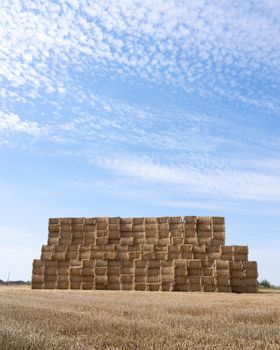 large piles of stacked straw bales in the noerth of france under blue summer sky