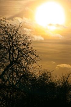 Afternoon sky with clouds and sun before sunset with tree branches silhouette in foreground