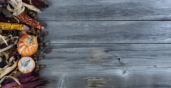 Seasonal autumn decorations in full colors on weathered wood for Thanksgiving or Halloween holiday concept