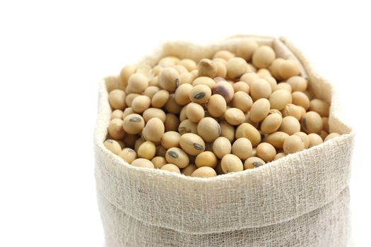 Soybean in sack isolated in white background 