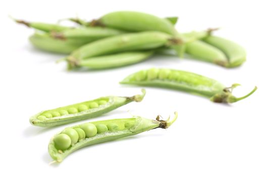 Soybean isolated in white background