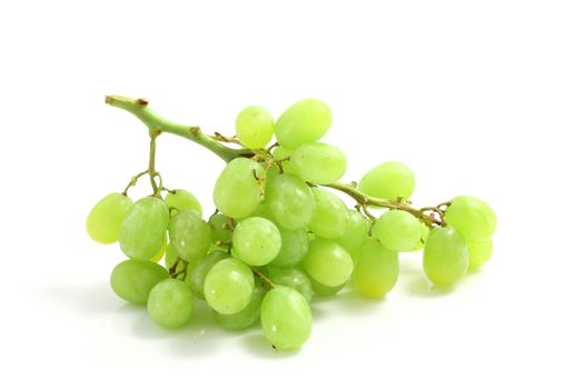 Fresh green grapes Isolated on white background