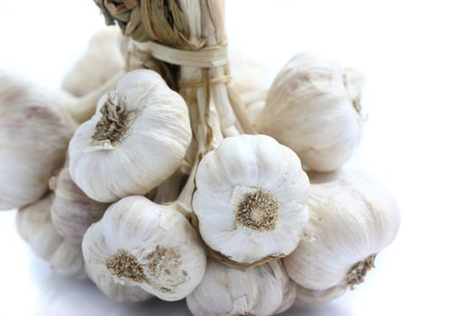 Garlic isolated in white background