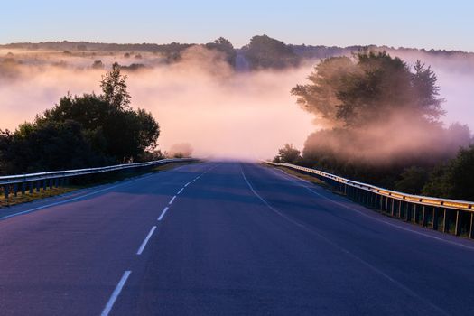 early morning fog in wold at summer highway near river with guard rails.