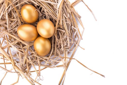 Golden egg inside a nest isolated on white background.