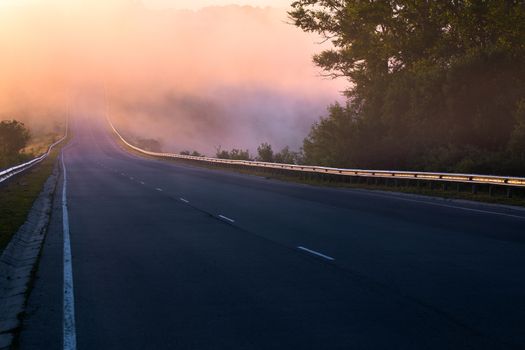 early morning fog in wold at summer highway near river with guard rails.