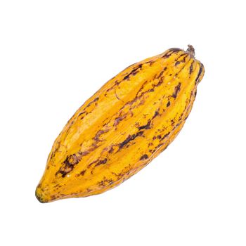 Cacao fruit, raw cacao beans, Cocoa pod isolated on white background.