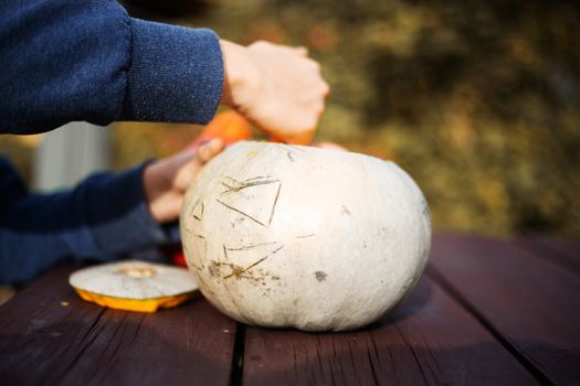 Hollowing out a pumpkin to prepare halloween lantern carving process