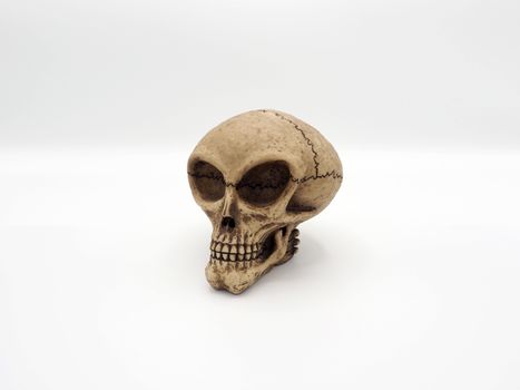 Alien skull toy model which made from plastic racin by hand made and white background studio shot and isolated.