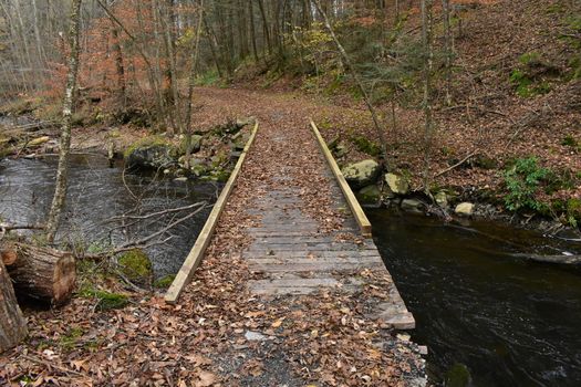 A Man-Made Wooden Bridge With No Railings Crossing a Small River