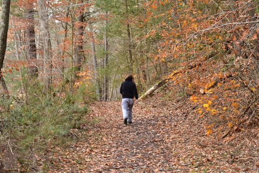 A Man in a Black Hoodie Walking Through an Autumn Forest Covered in Leaves