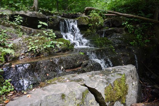 A Small Waterfall Surrounded by Plants and Foliage Flowing Over Rocks