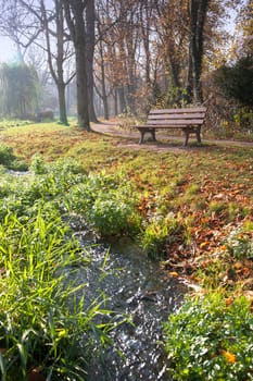 An empty bench in a park with trees near a creek
