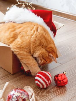 Cute ginger cat lies in box with Christmas and New Year decorations on wooden background. Fluffy pet with red Santa Claus hat. Fuzzy domestic animal during winter holiday preparation.