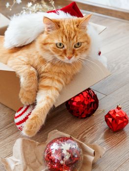 Cute ginger cat lies in box with Christmas and New Year decorations on wooden background. Fluffy pet with red Santa Claus hat. Fuzzy domestic animal during winter holiday preparation.