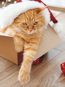 Cute ginger cat lies in box with Christmas and New Year decorations on wooden background. Fluffy pet with red Santa Claus hat. Fuzzy domestic animal during winter holiday preparation.