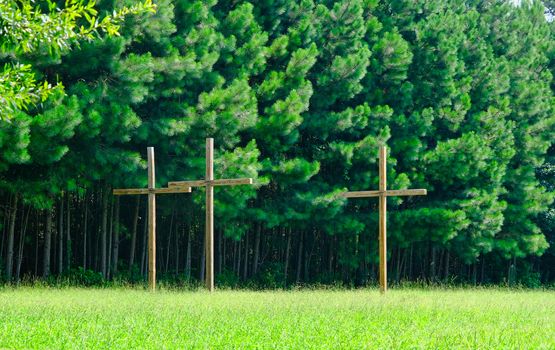 Three Wood Crosses by Green PIne Trees Over Grass Lawn