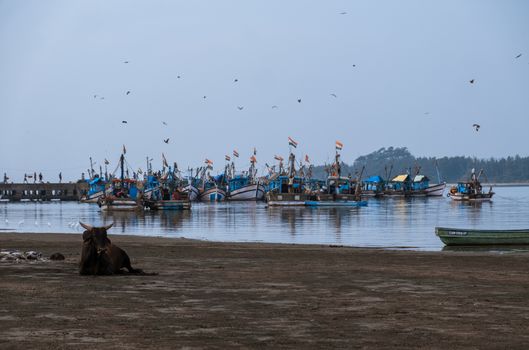 Fisherman village in Goa, India