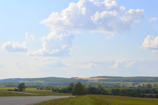 summer landscape with rural road and plants