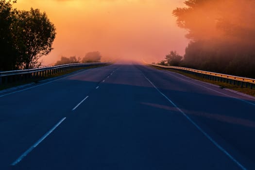early morning fog in wold at summer highway near river with guard rails.