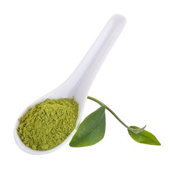 matcha powder in White ceramic spoon isolated on white background.