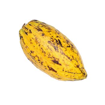 Cacao fruit, raw cacao beans, Cocoa pod isolated on white background.