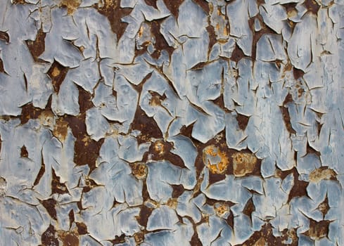 Rusty panel with peeling blue paint.