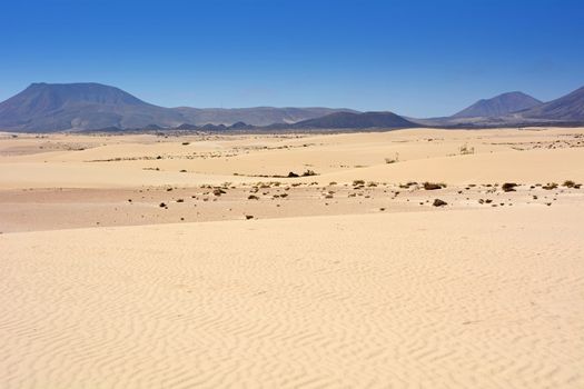 Golden sand dunes in Parque Natural Corralejo on the north-east of Fuerteventura island.