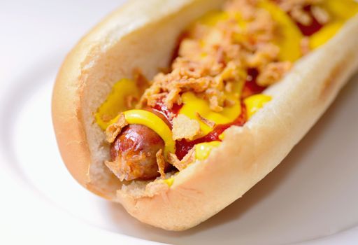 A hot dog in a plain soft bun with mustard, ketchup and fried onion.