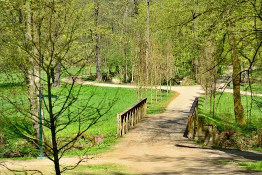 Walk path through the green park in a sunny day. Vlasim castle park.