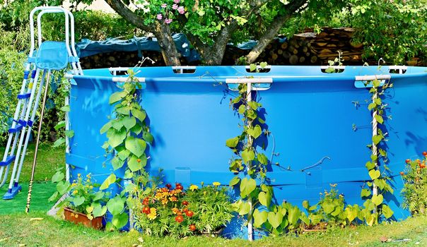 Blue swimming pool overgrown with green leaves and other flowers in garden.