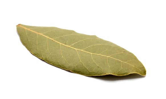 Closeup of single dried bay leaf on white background.