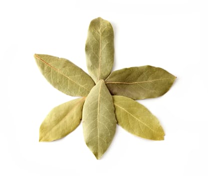 Top view of dried bay leaves arranged in a star shape on white background.