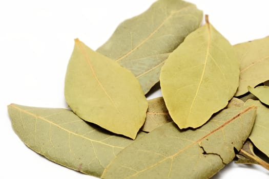 Heap of dried bay leaves on white background, closeup.