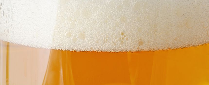 Closeup of beer with bubbles and classic white foam.