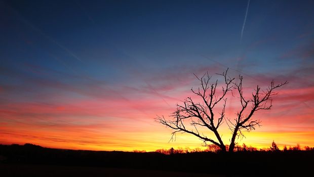 Beautiful vivid red orange sky during sunrise with tree silhouette.