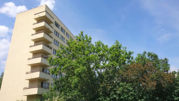 Low angle view of apartment building exterior hidden behind the big tree.