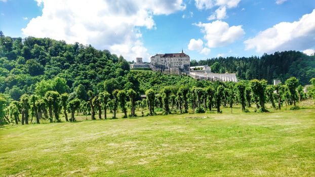 View on the hill with gothic castle Cesky Sternberk in the Middle Bohemia.