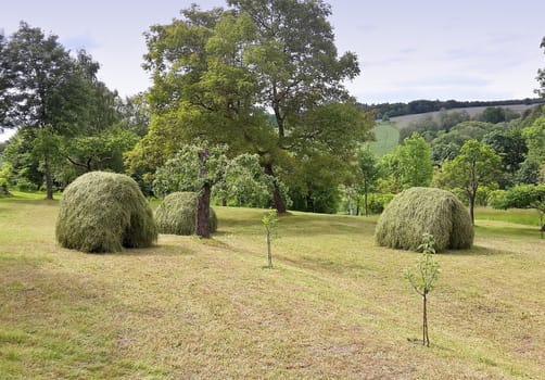 Rural scenery of country garden with haystacks made after cut grass and raking hay.
