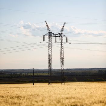 Large transmission tower with golden field and sky