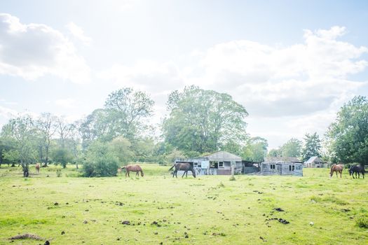 landscape of the Cotswolds in beautiful summer sunshine UK