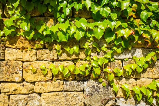 A wall made from traditional English Cotswold stone UK