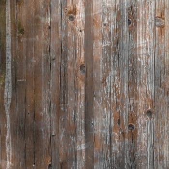 Planks of rustic wood with light brown tones.