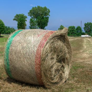 A bale of hay in a field, in the Italian countryside.