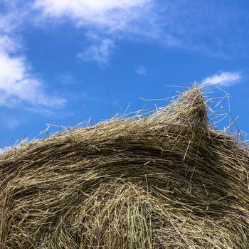 Close up top of a bale of hay with blue sky and clouds in the background.